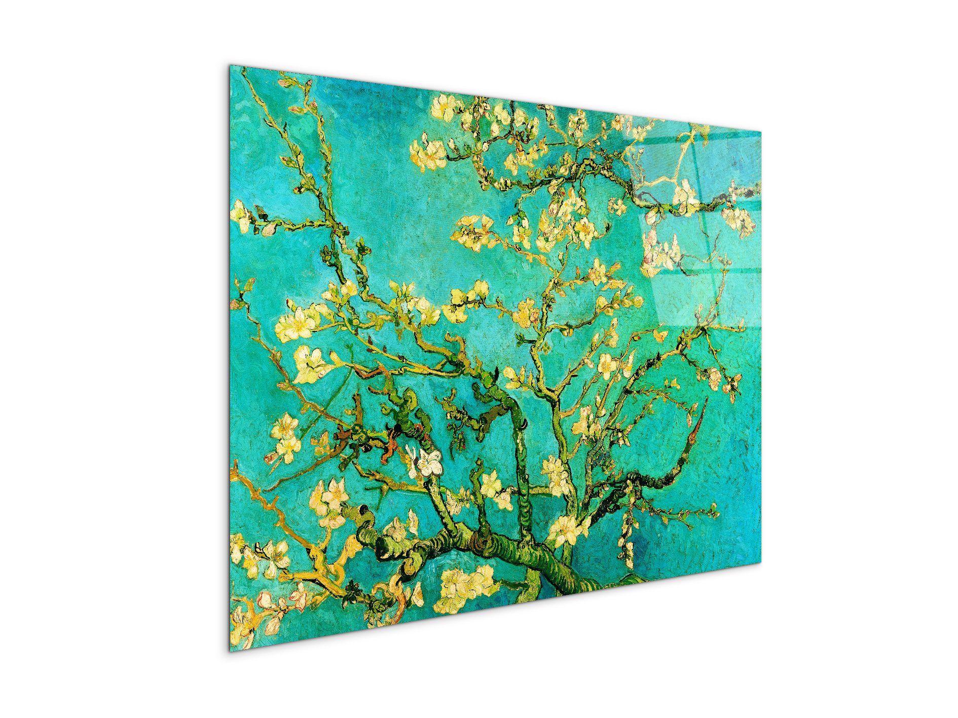 homage-to-van-gogh-mandorli-in-fiore-a-san-remyec21595-