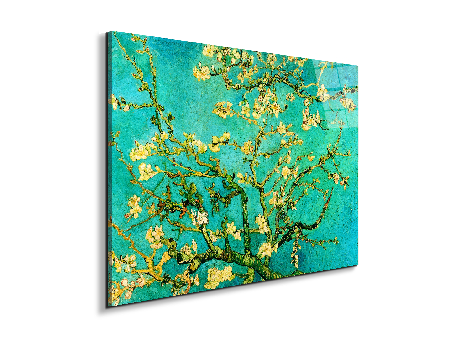 homage-to-van-gogh-mandorli-in-fiore-a-san-remyec21595-