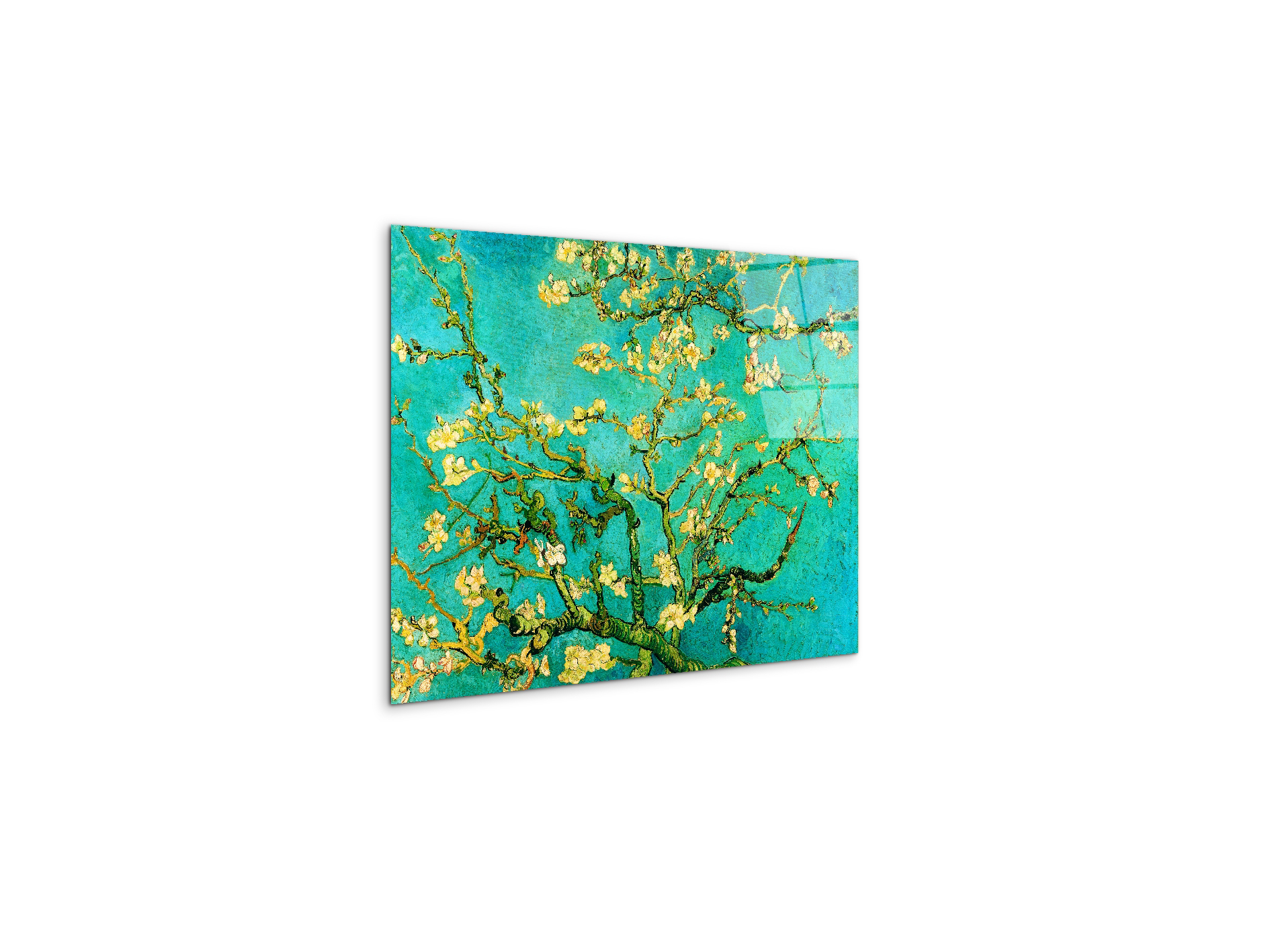 homage-to-van-gogh-mandorli-in-fiore-a-san-remyec21595-