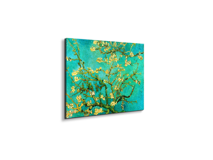 homage-to-van-gogh-mandorli-in-fiore-a-san-remyec21595-