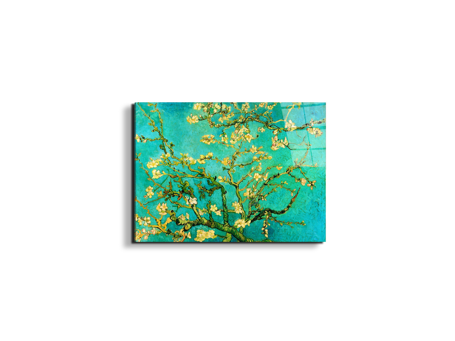 homage-to-van-gogh-mandorli-in-fiore-a-san-remyec21595-