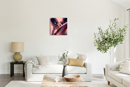 homage-to-captainec21637-