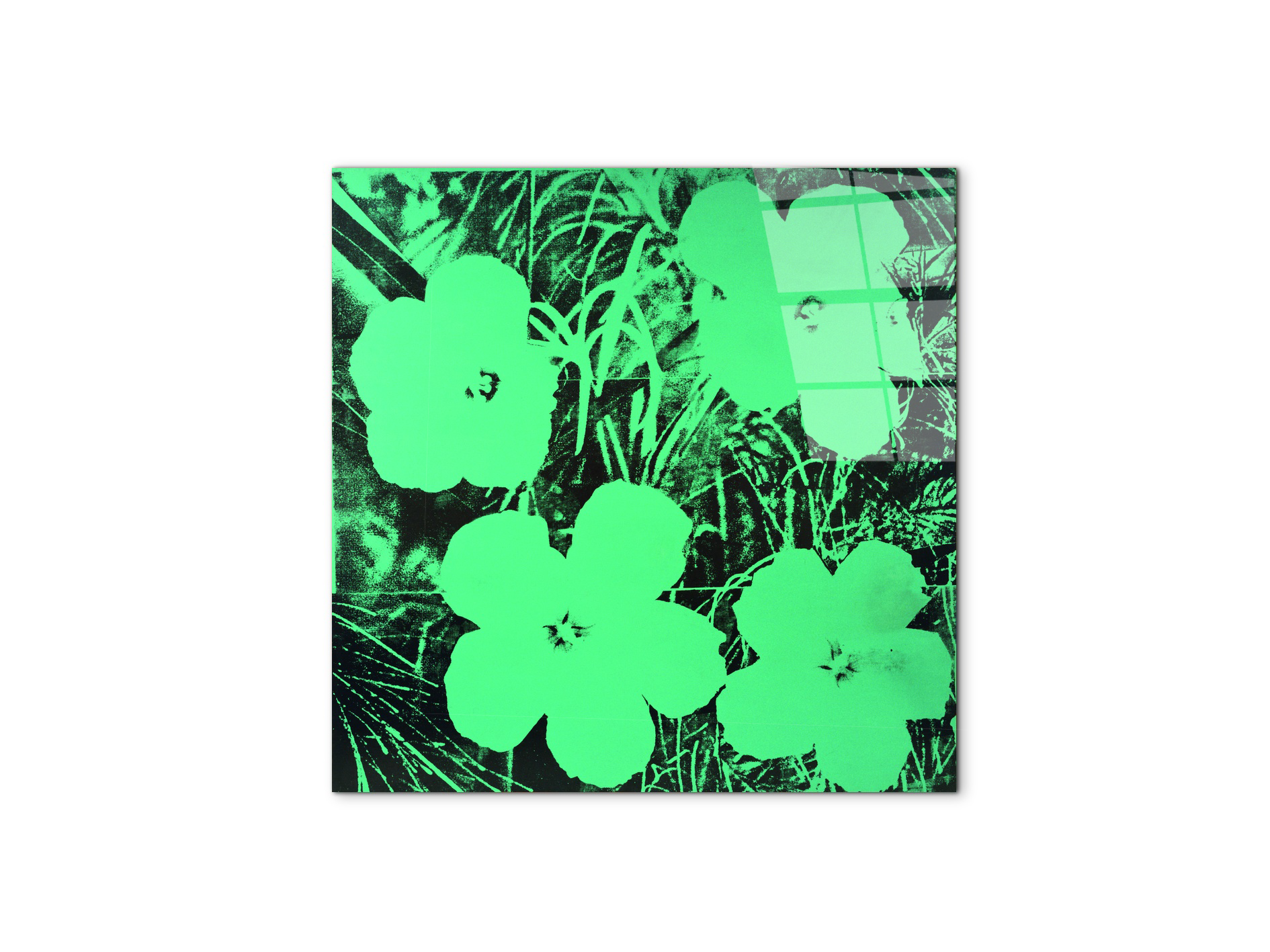 homage-to-andy-ten-foot-flowersec21763-#materiale_CrystalArt/dimensioni_58x58