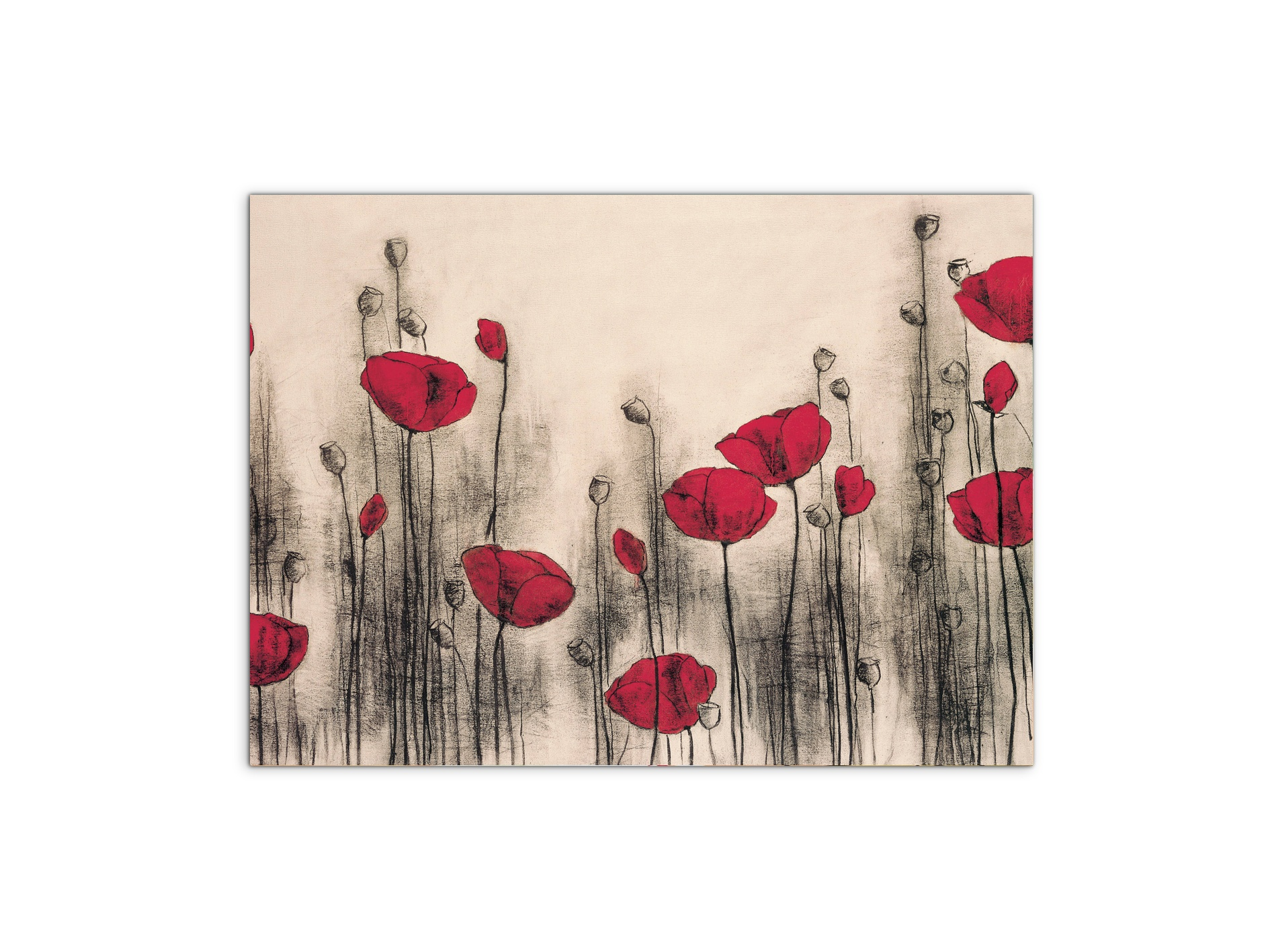 poppies-gardenec21768-