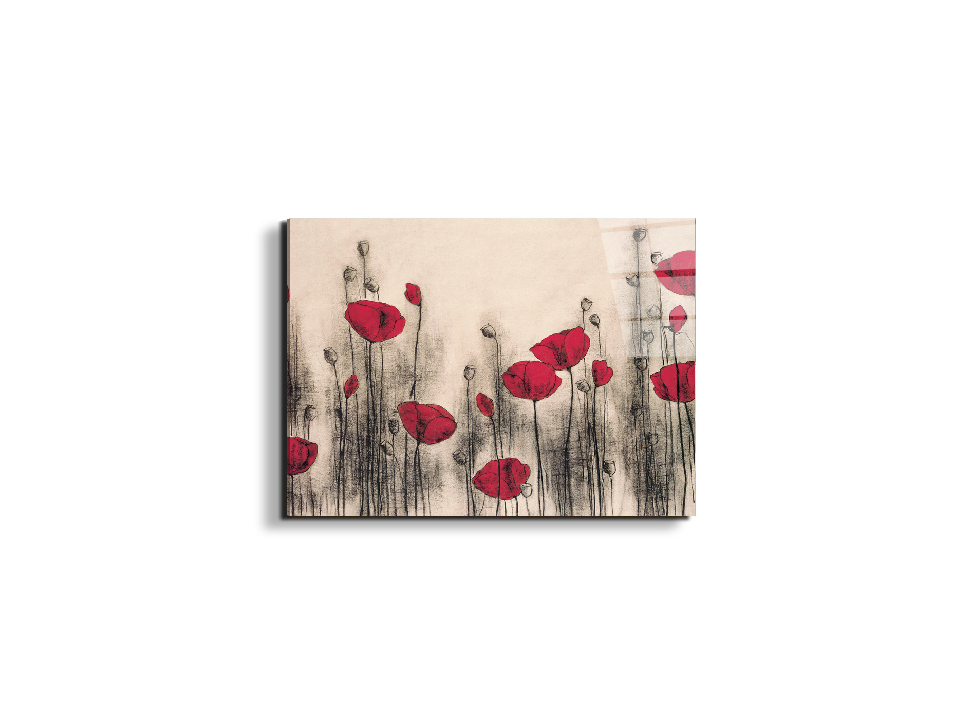 poppies-gardenec21768-