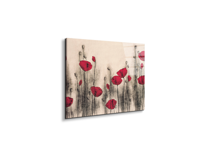 poppies-gardenec21768-