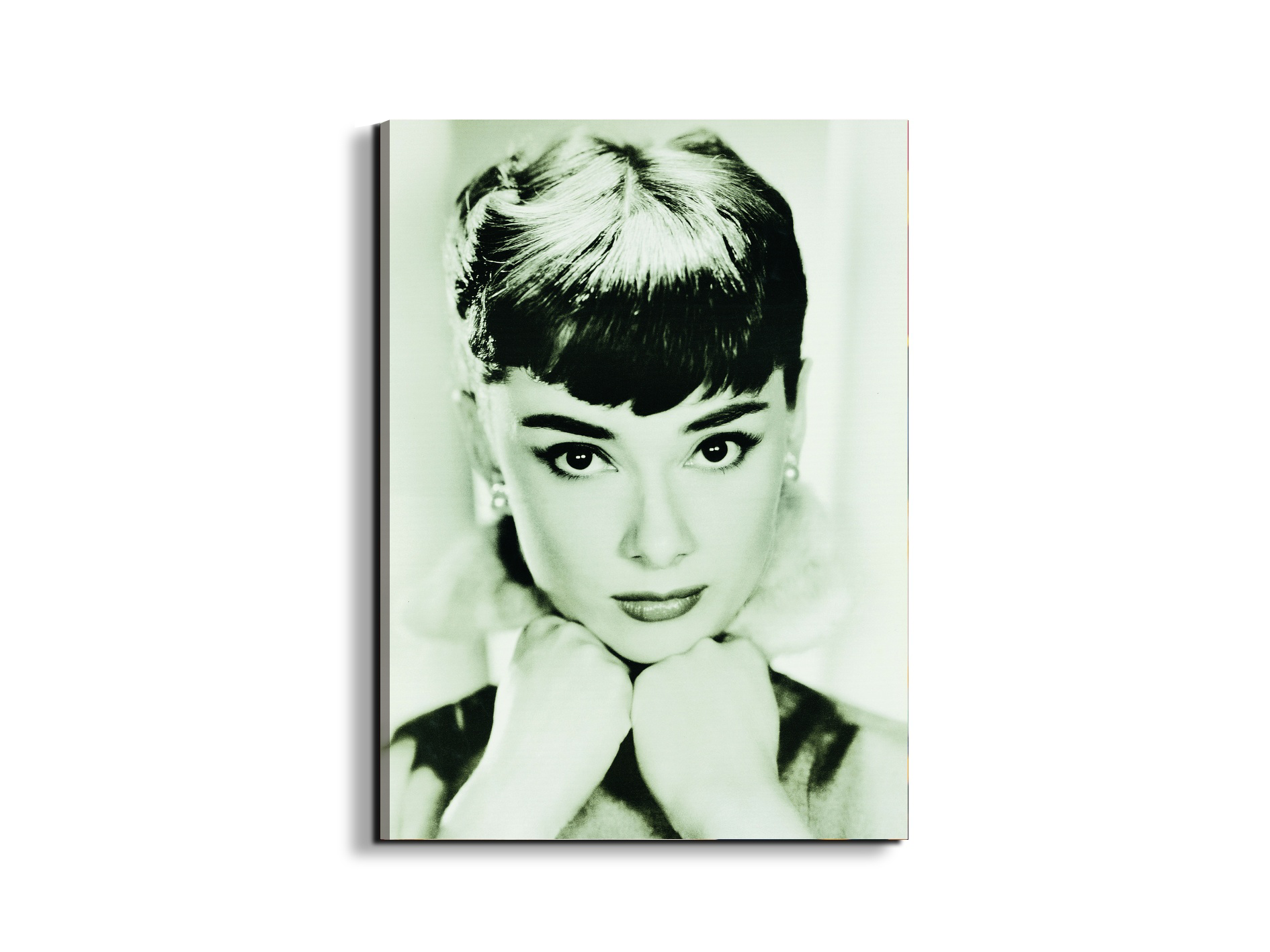 homage-to-audrey-iec21769-#materiale_EarthArt/dimensioni_58x77,5