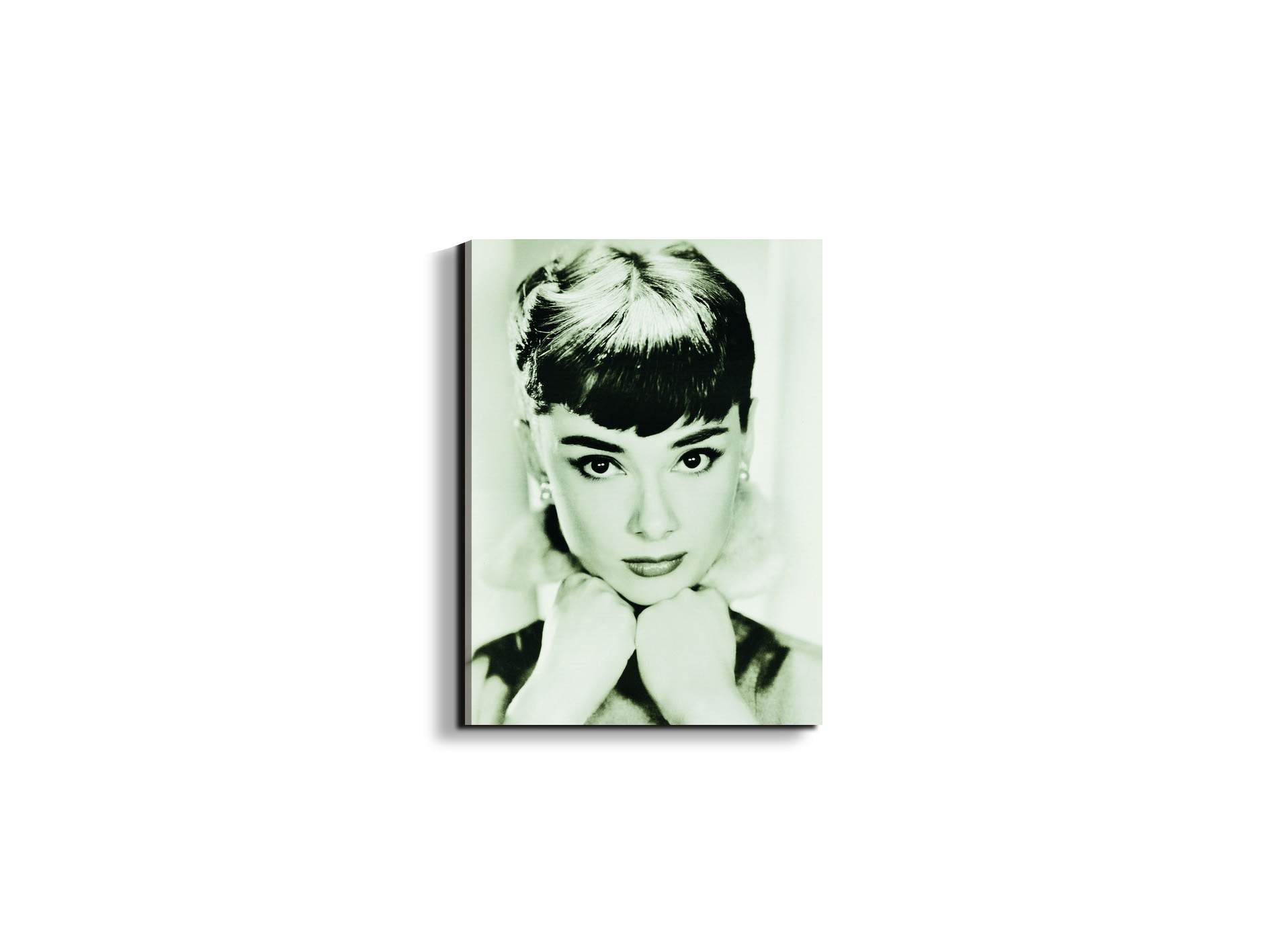 homage-to-audrey-iec21769-#materiale_EarthArt/dimensioni_37,42x50