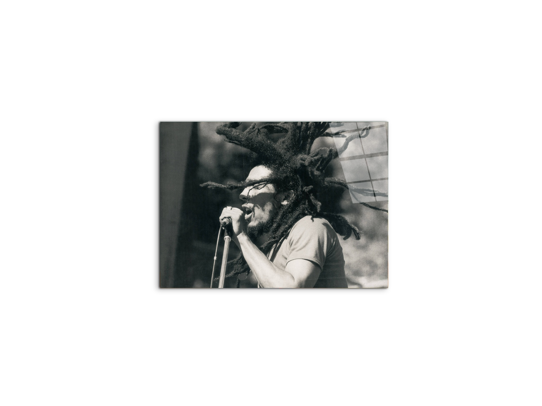 homage-to-bob-concertec21770-#materiale_CrystalArt/dimensioni_50x37,42