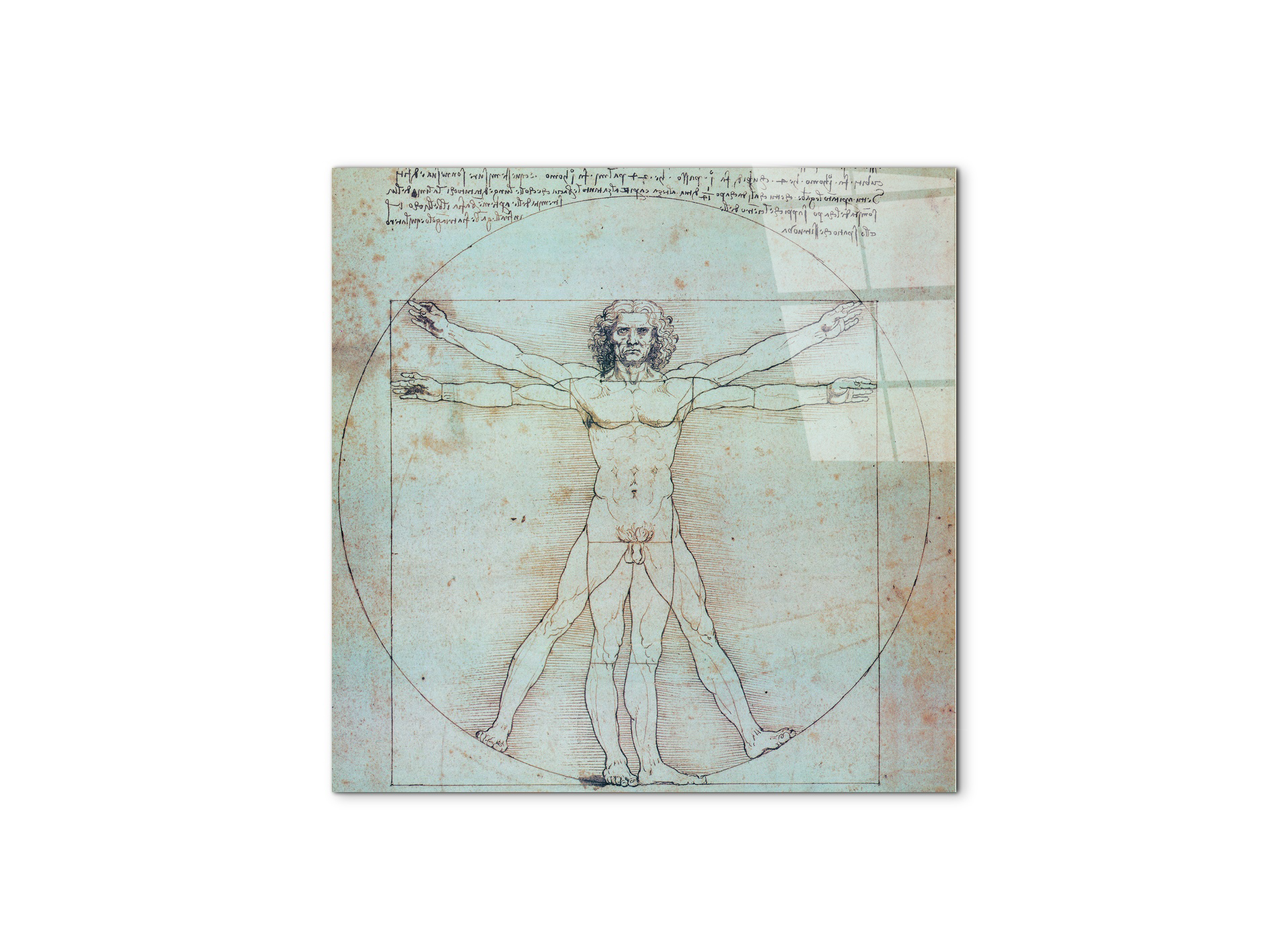 homage-to-leonardo-vitruvian-manec21828-#materiale_CrystalArt/dimensioni_58x58
