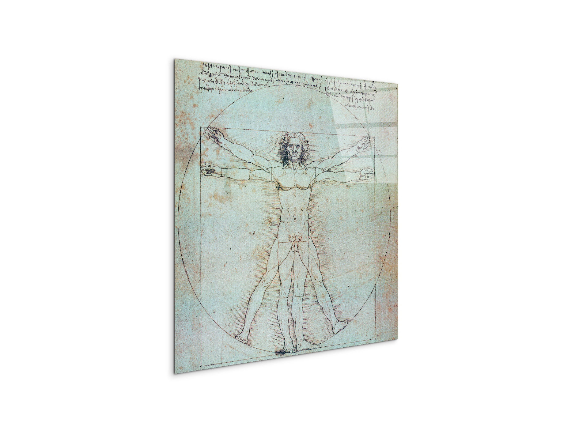 homage-to-leonardo-vitruvian-manec21828-#materiale_CrystalArt/dimensioni_58x58