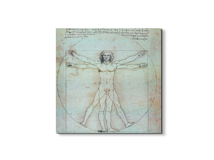 homage-to-leonardo-vitruvian-manec21828-