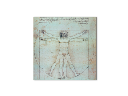 homage-to-leonardo-vitruvian-manec21828-