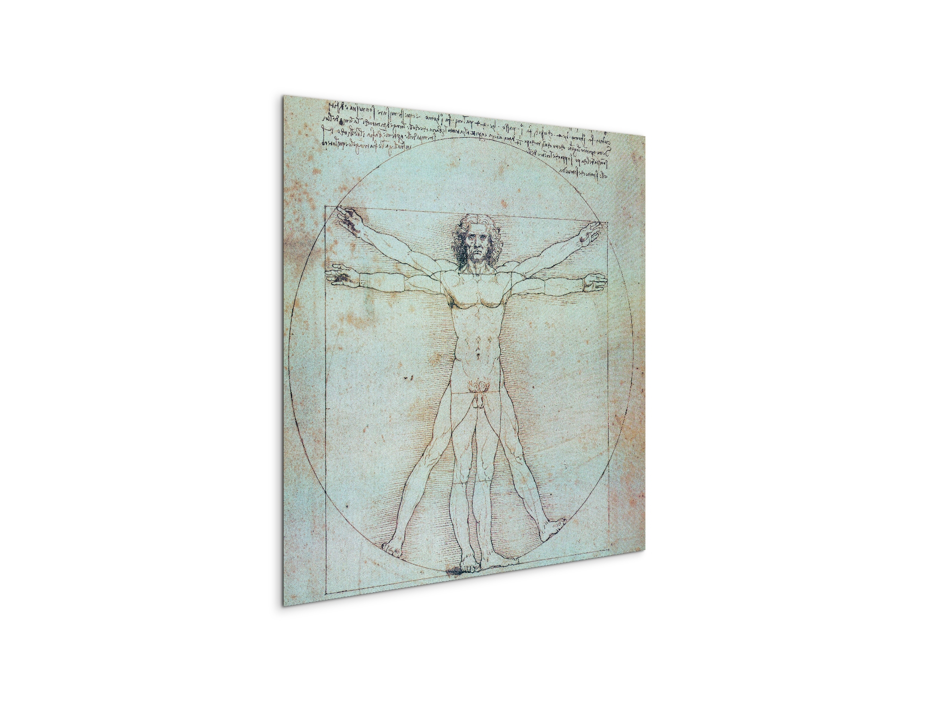 homage-to-leonardo-vitruvian-manec21828-