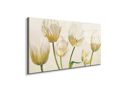 white-tulipsec21892-