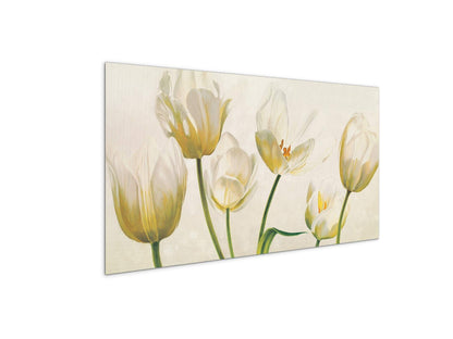 white-tulipsec21892-