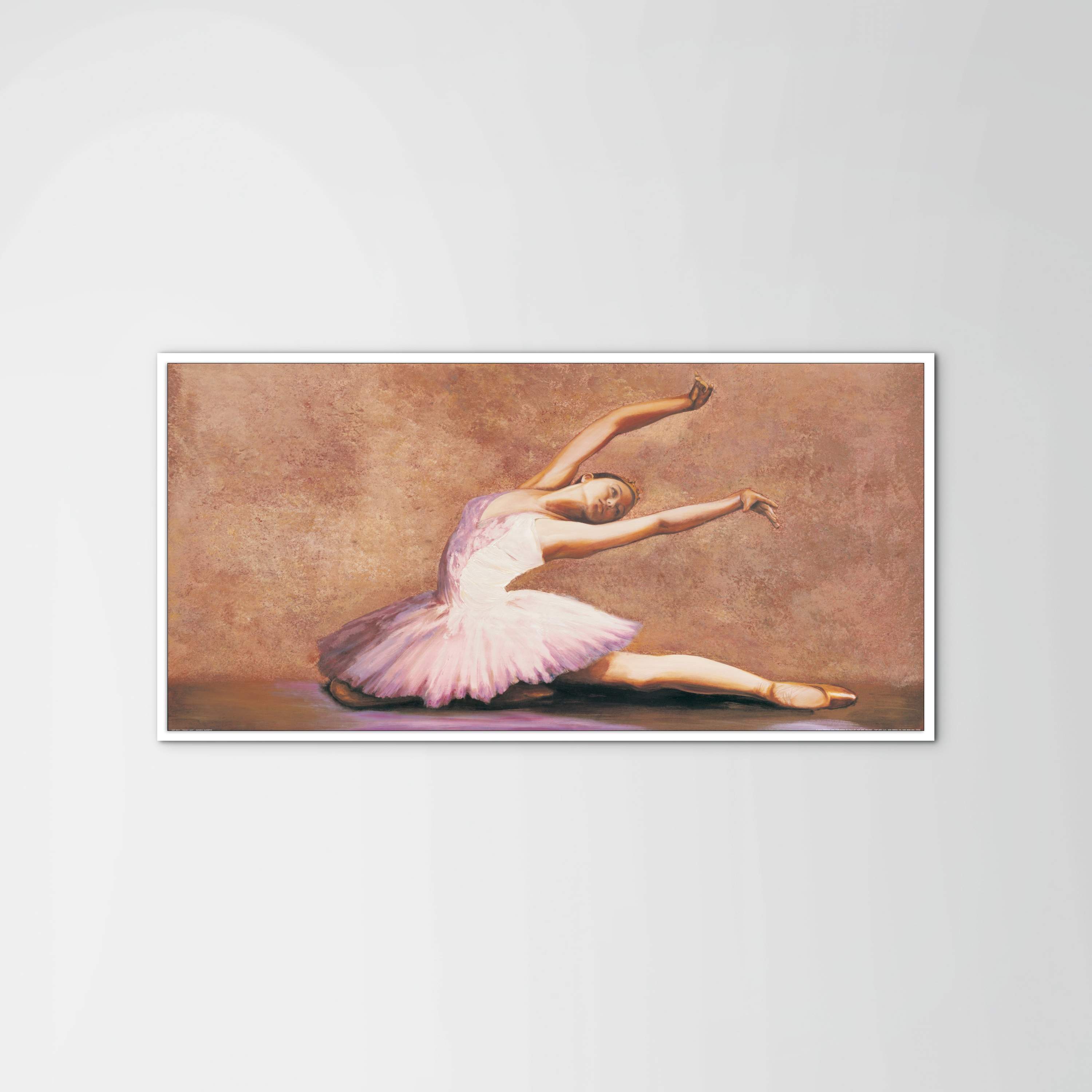 swan-lakeec21893-