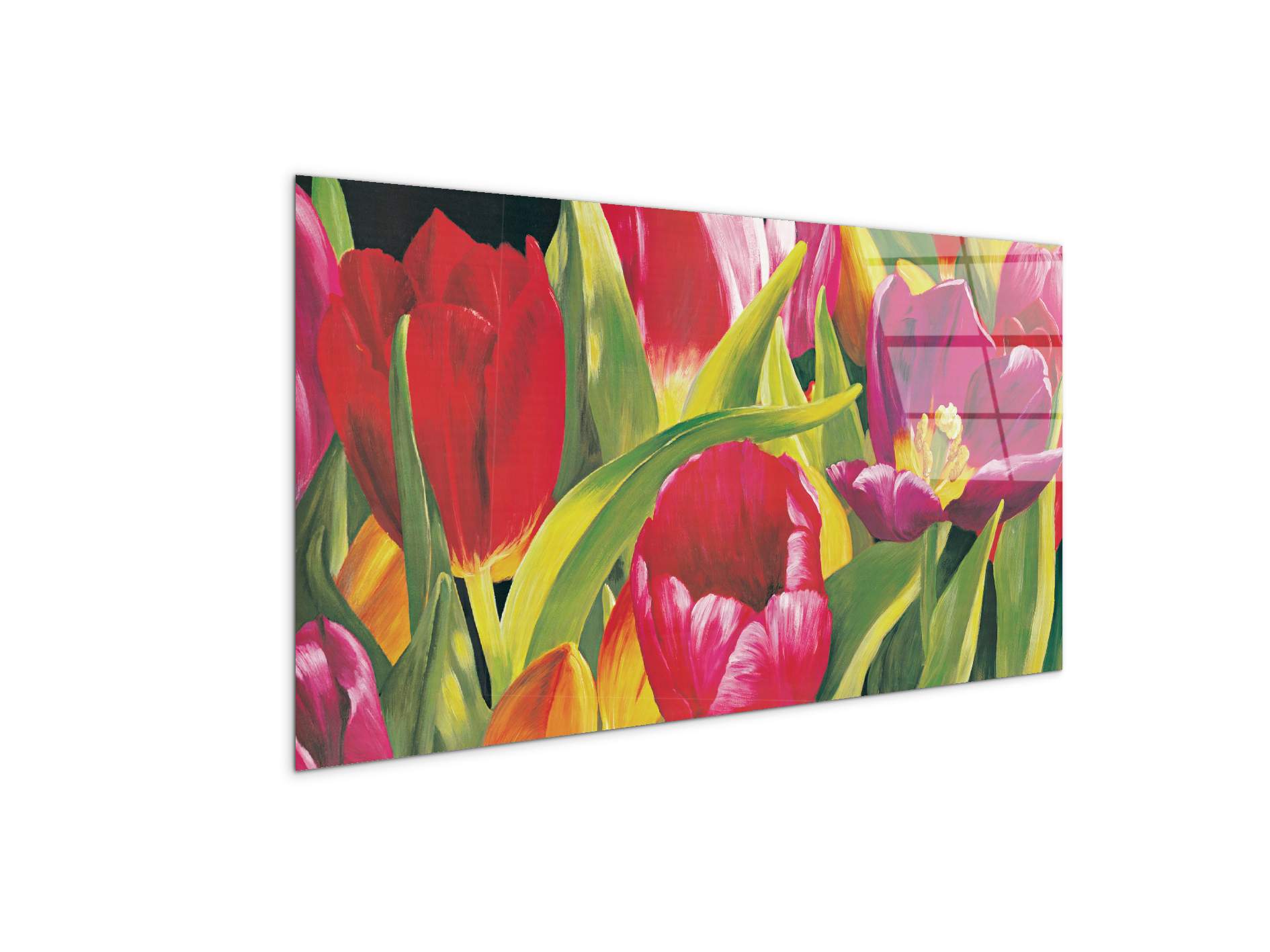 rose-tulipsec21925-