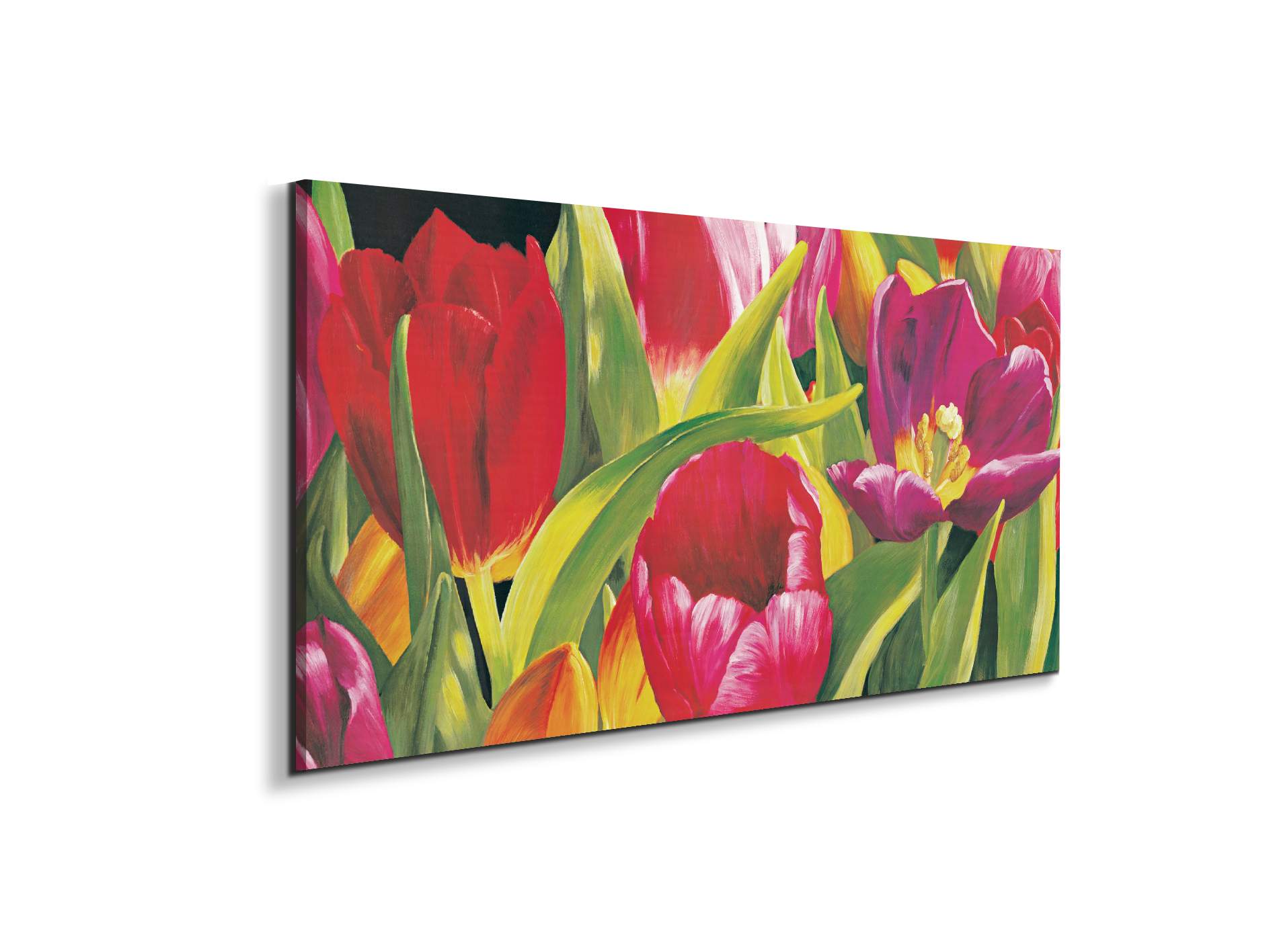 rose-tulipsec21925-