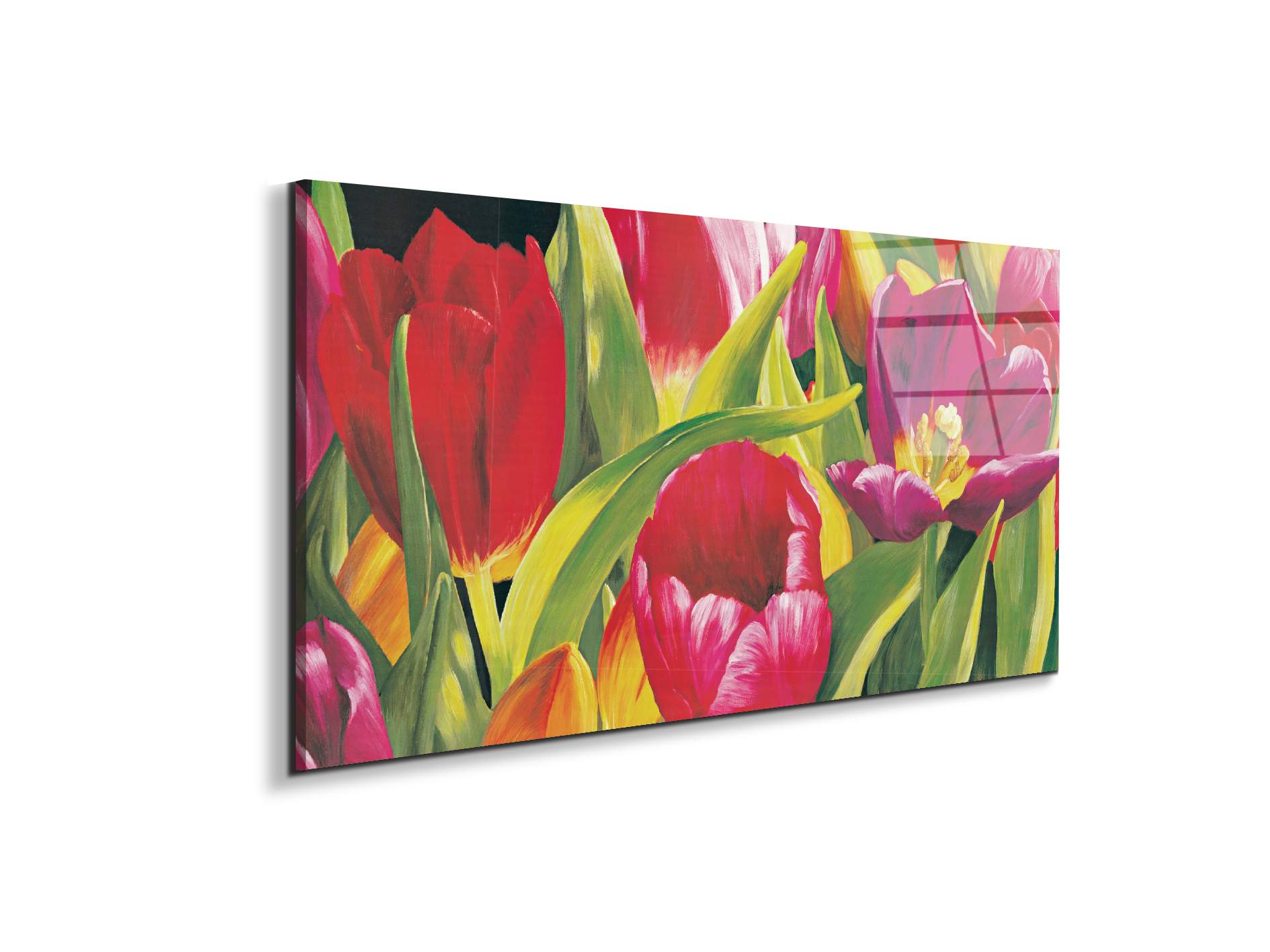 rose-tulipsec21925-