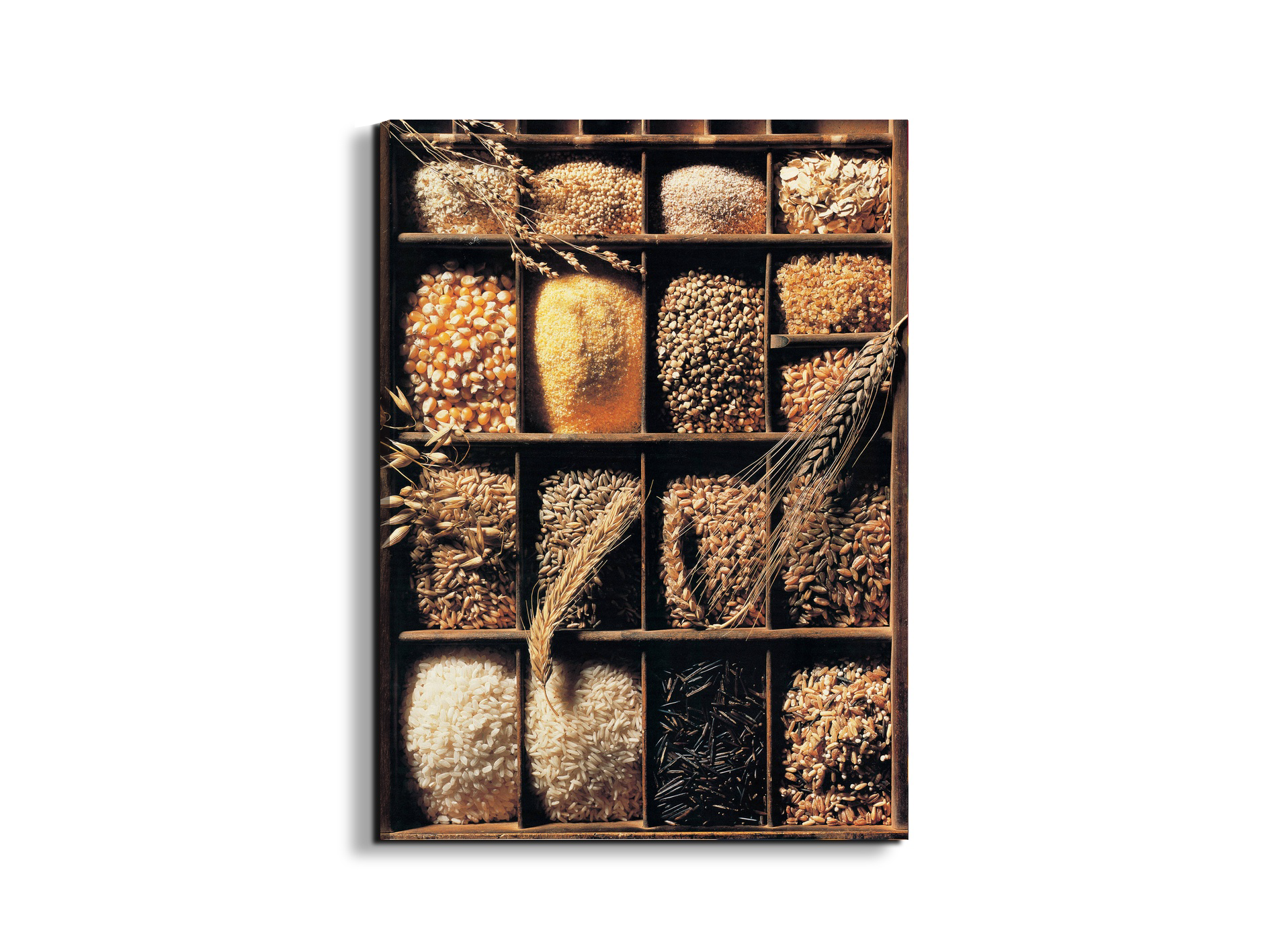 cereal-and-riceec21939-#materiale_EarthArt/dimensioni_58x77,5