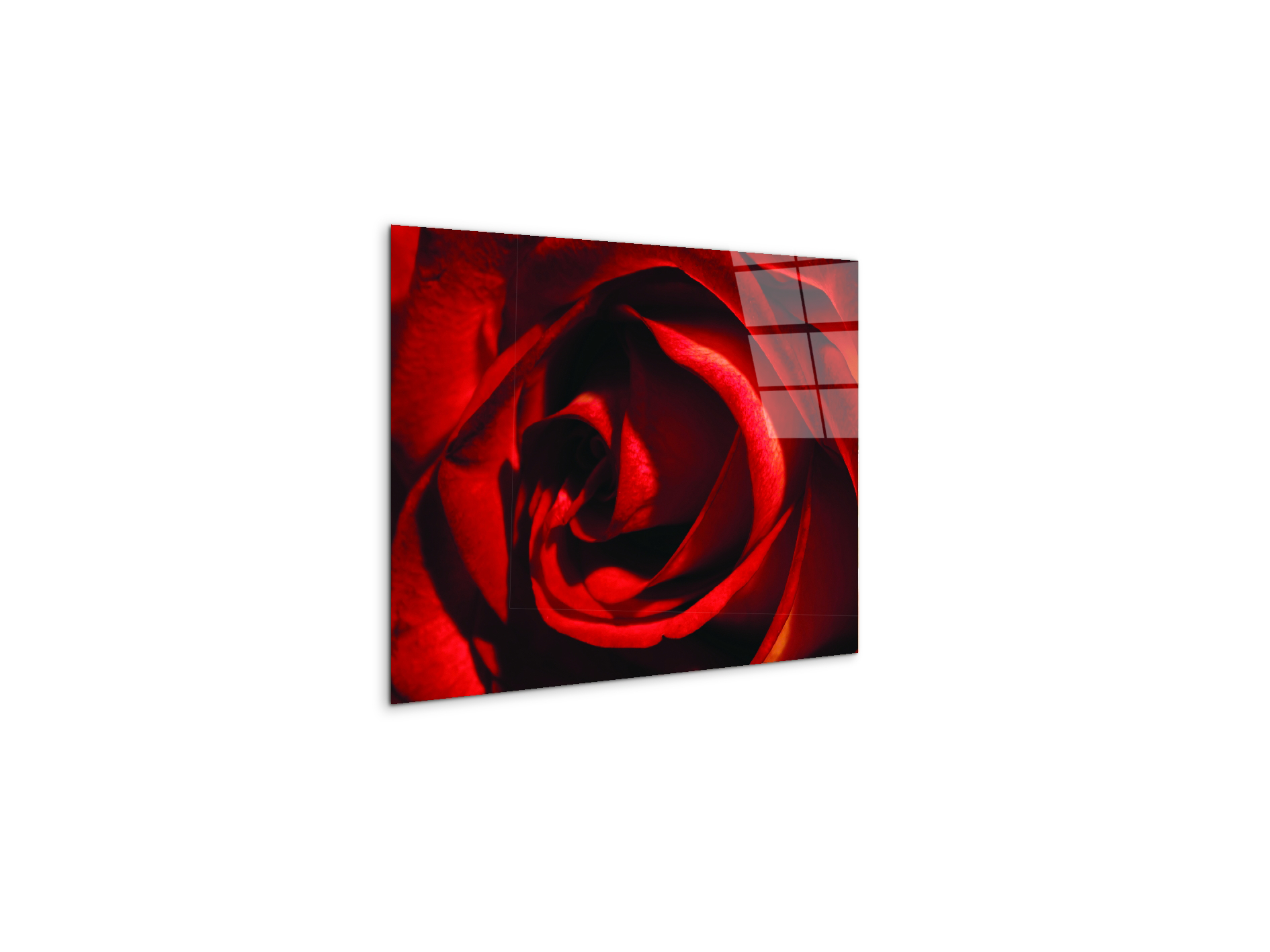 red-rose-heartec21967-