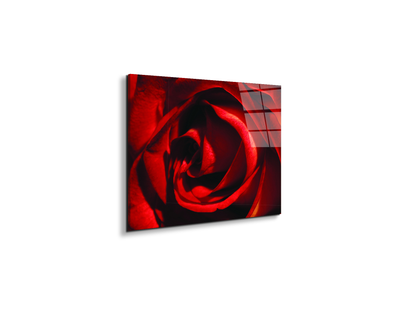 red-rose-heartec21967-