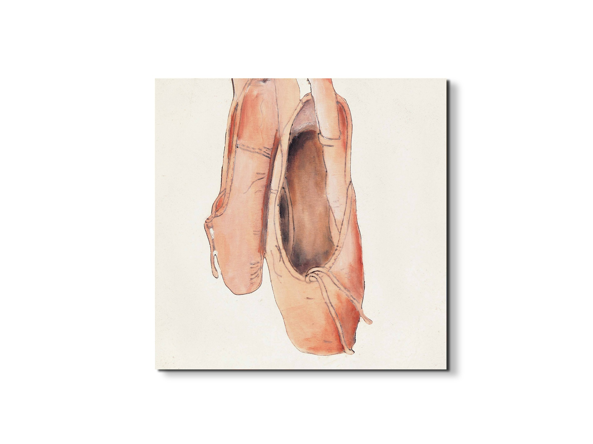 ballet-shoesec21993-#materiale_EarthArt/dimensioni_58x58