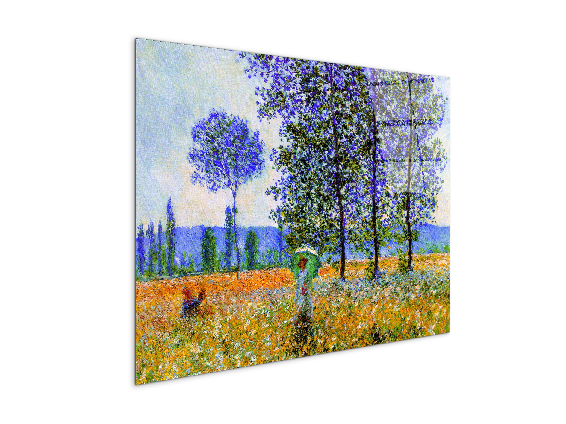 homage-to-monet-fields-in-springec22021-