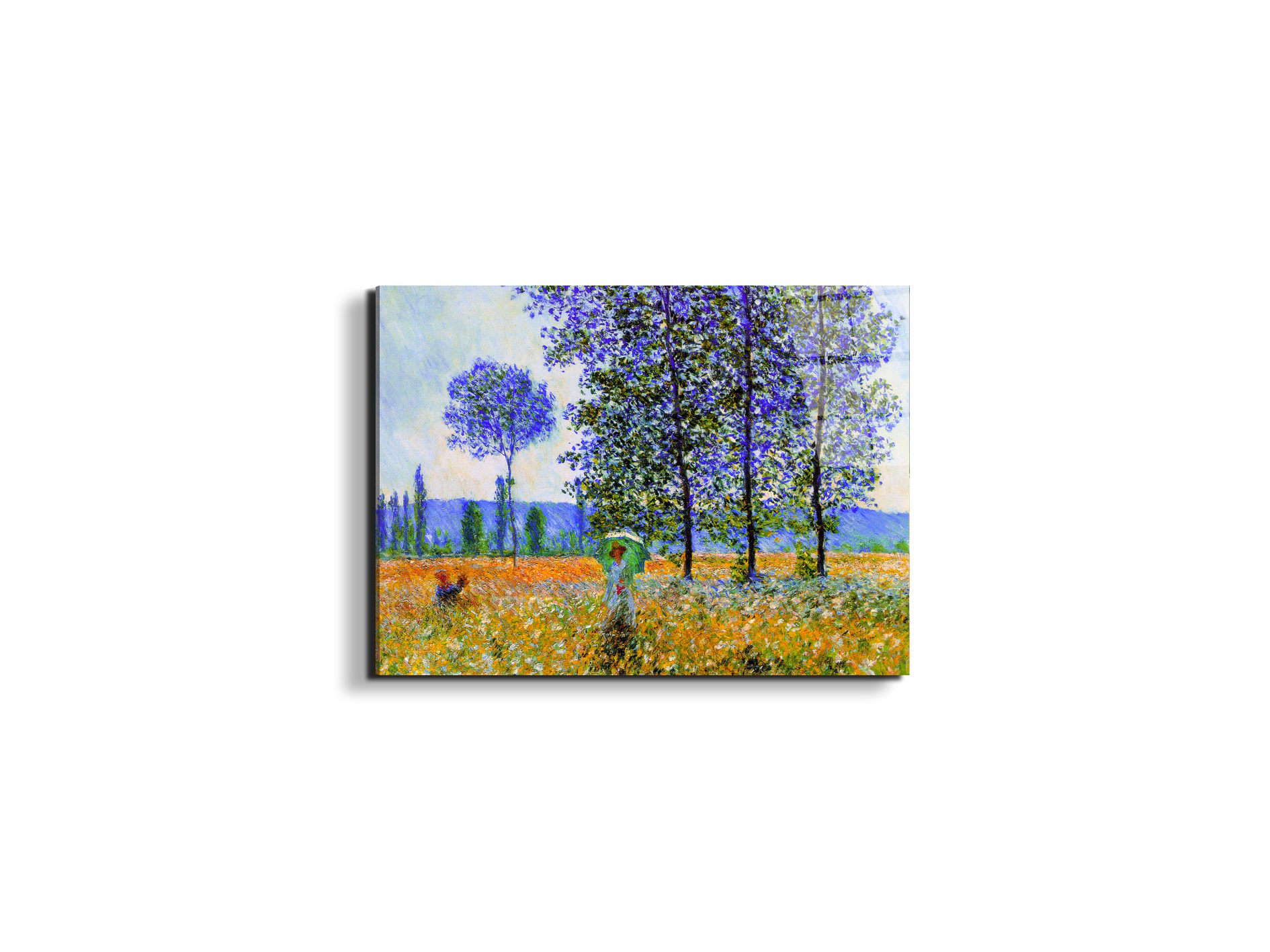 homage-to-monet-fields-in-springec22021-