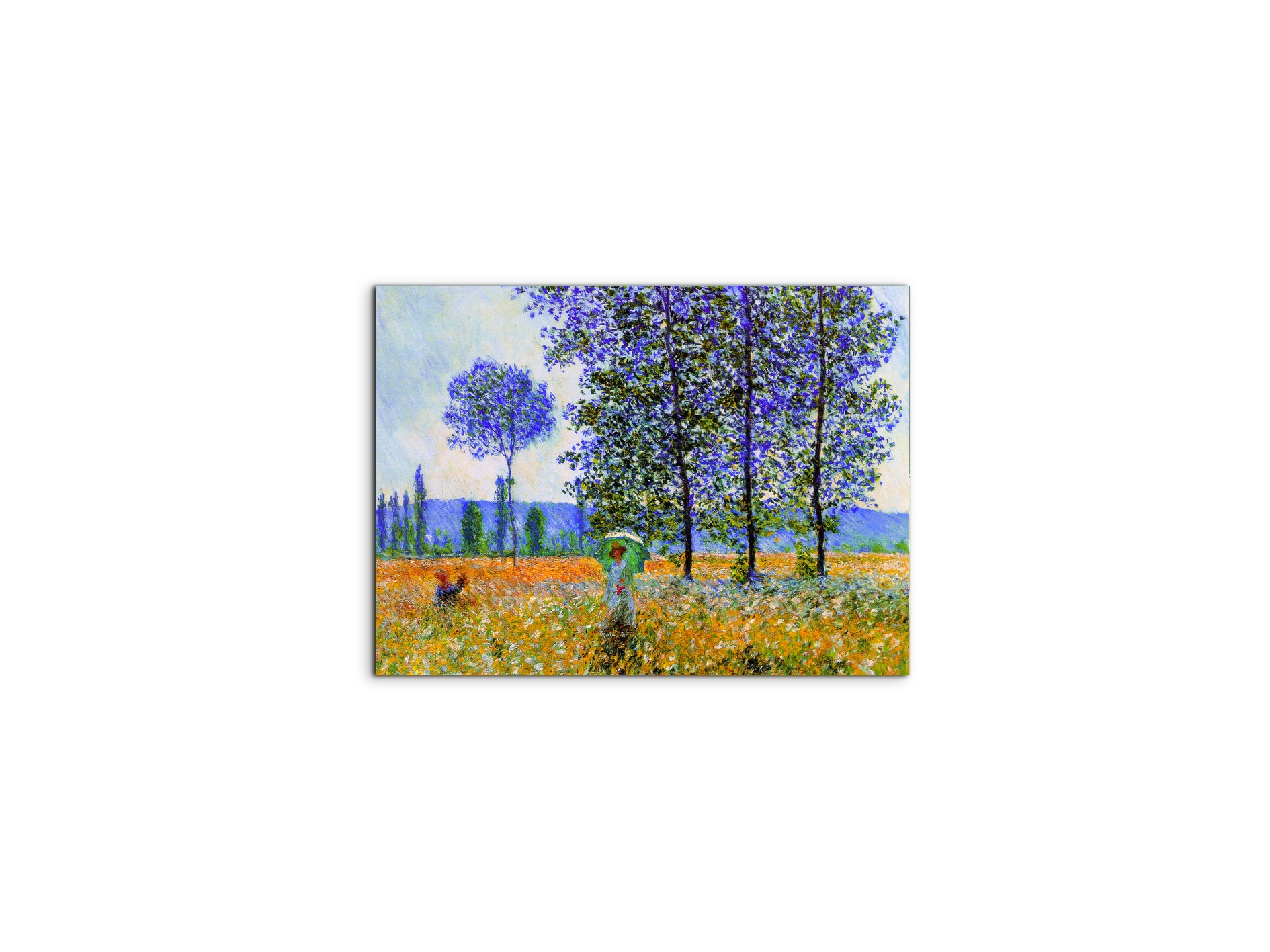 homage-to-monet-fields-in-springec22021-