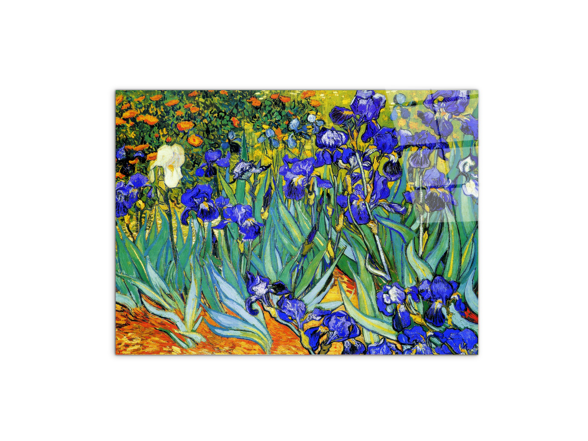 homage-to-van-gogh-irisesec22028-#materiale_CrystalArt/dimensioni_77,5x58