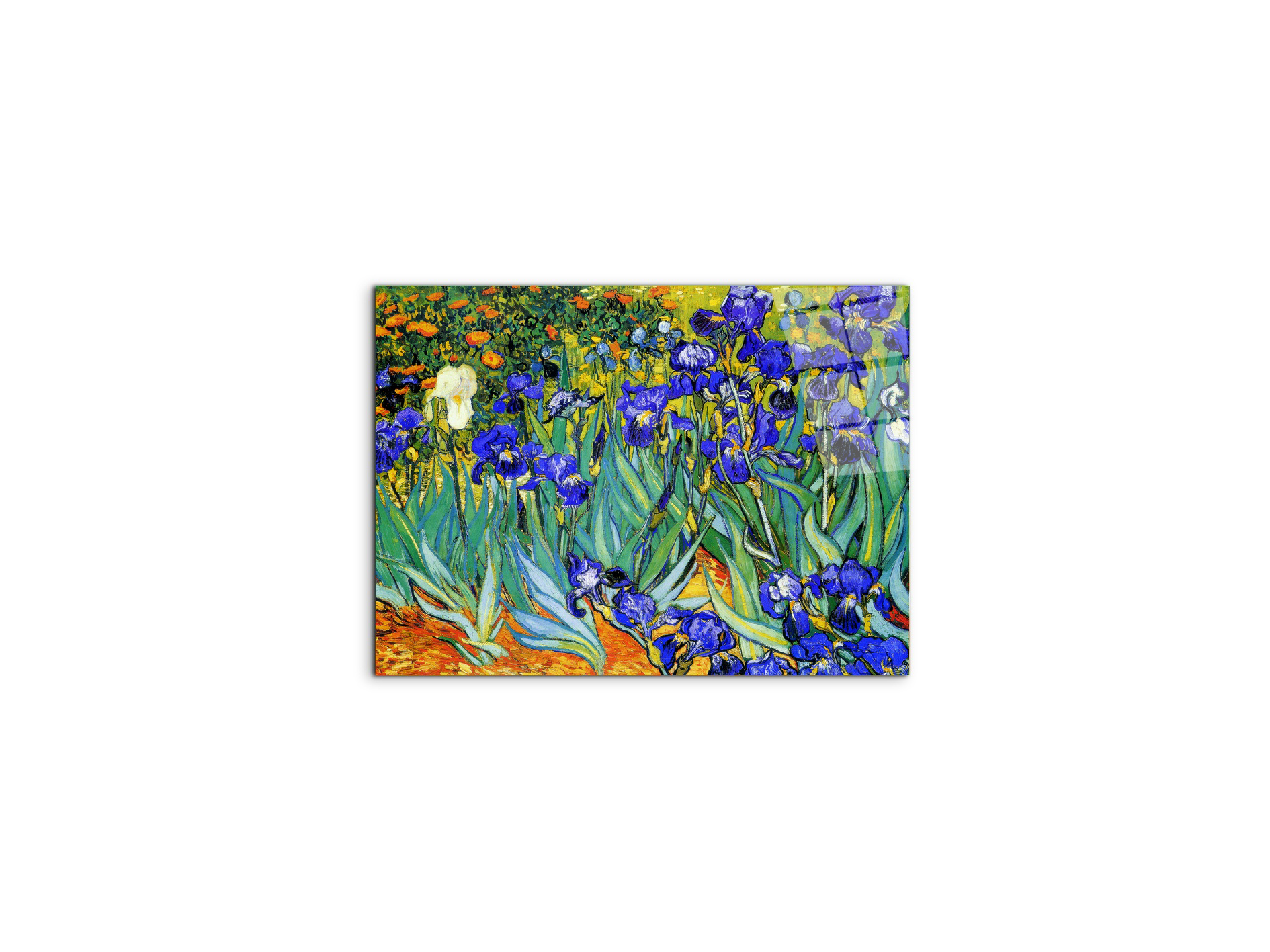 homage-to-van-gogh-irisesec22028-#materiale_CrystalArt/dimensioni_50x37,42