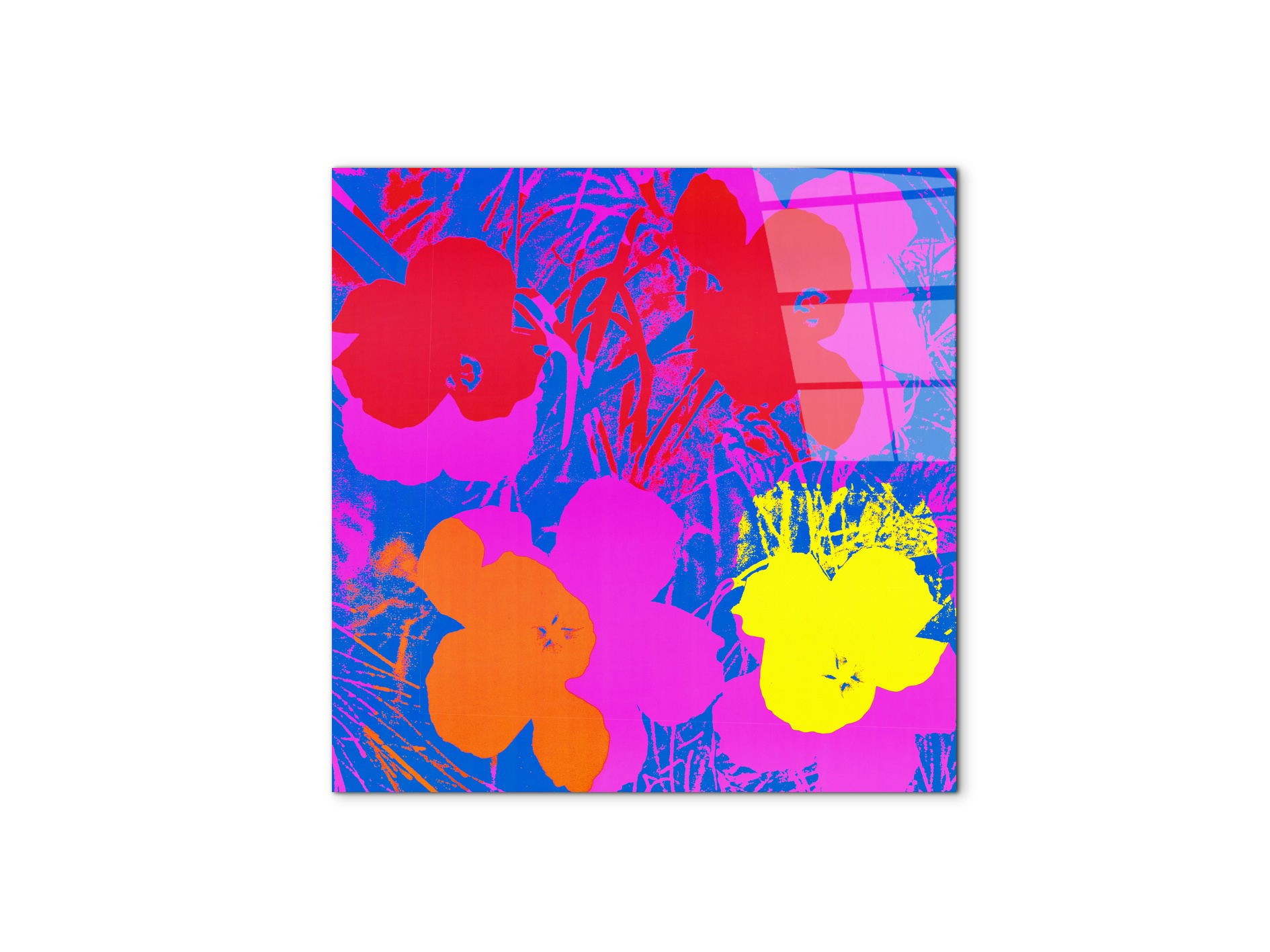 homage-to-andy-flowers-1970ec22033-#materiale_CrystalArt/dimensioni_58x58