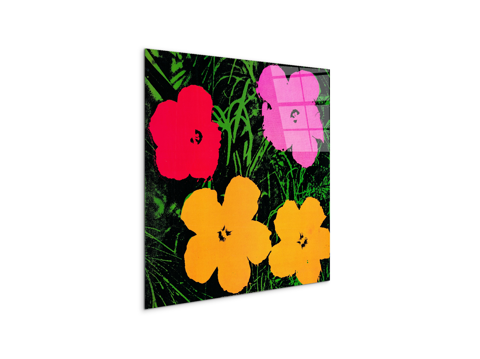 homage-to-andy-flowers-1964ec22034-