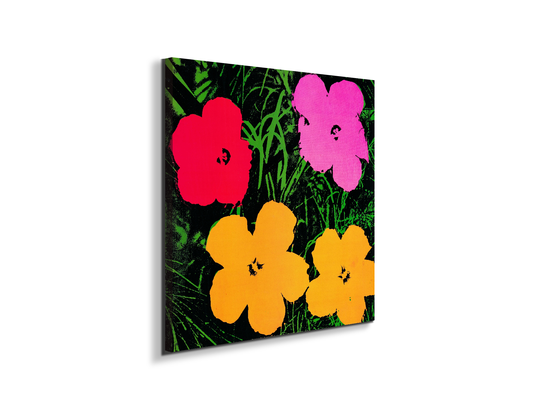 homage-to-andy-flowers-1964ec22034-