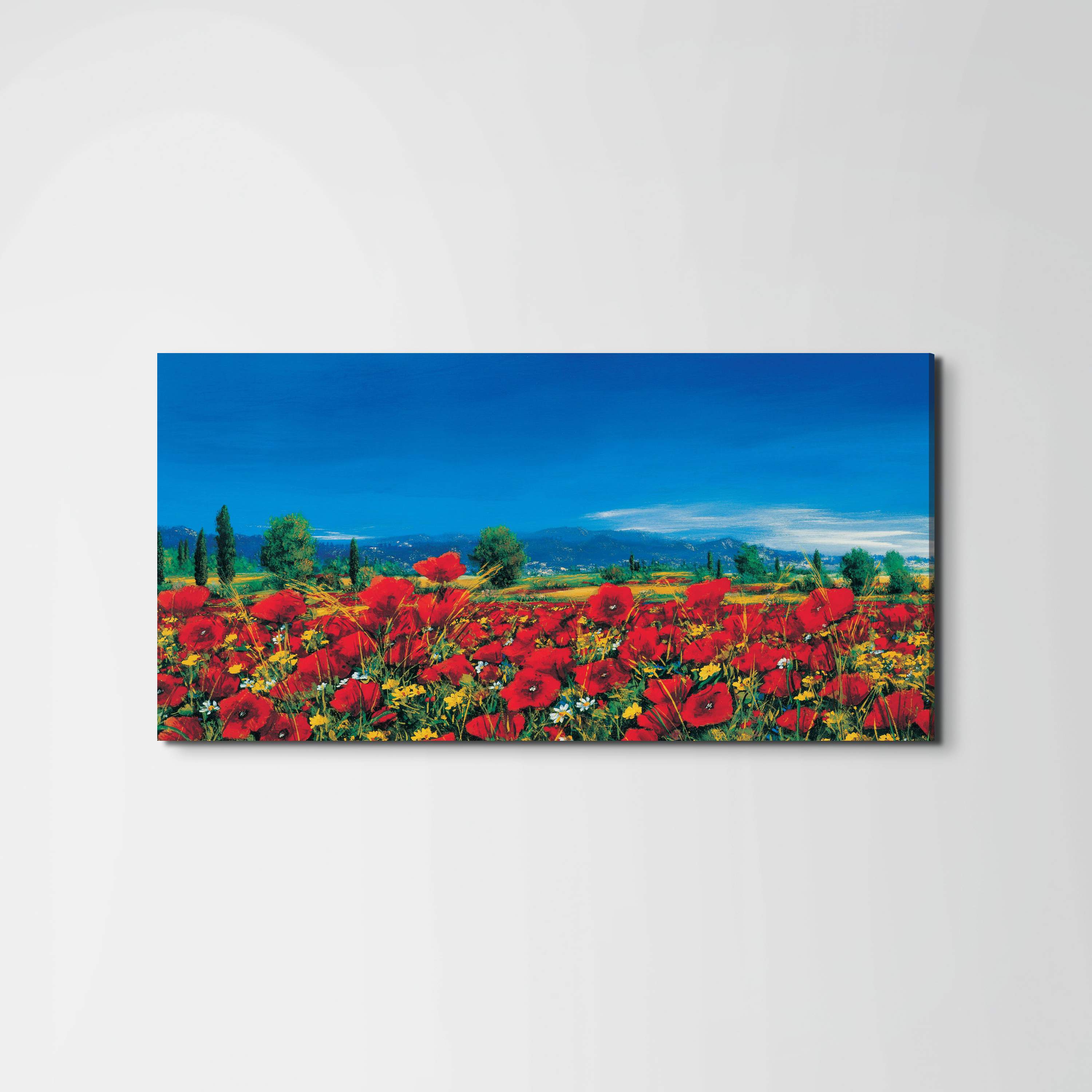 red-poppies-iiiec22063-