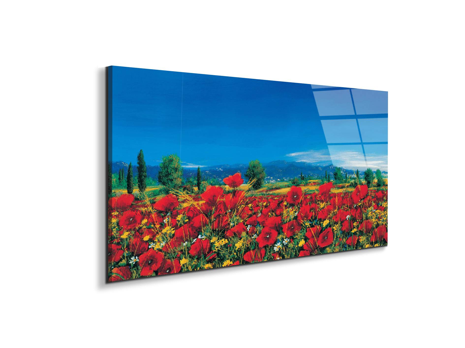 red-poppies-iiiec22063-