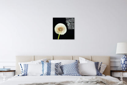 taraxacumec22093-#materiale_CrystalArt/dimensioni_58x58