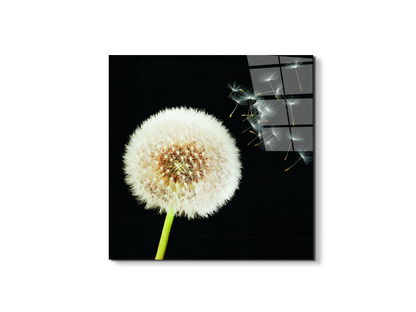 taraxacumec22093-#materiale_EarthArt Total Gloss/dimensioni_58x58