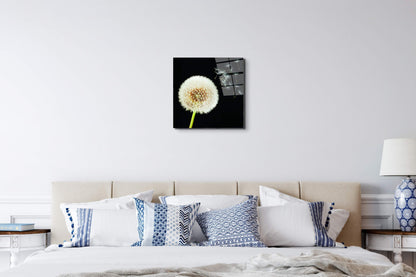 taraxacumec22093-#materiale_EarthArt Total Gloss/dimensioni_58x58