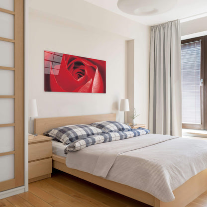 red-roseec22100-