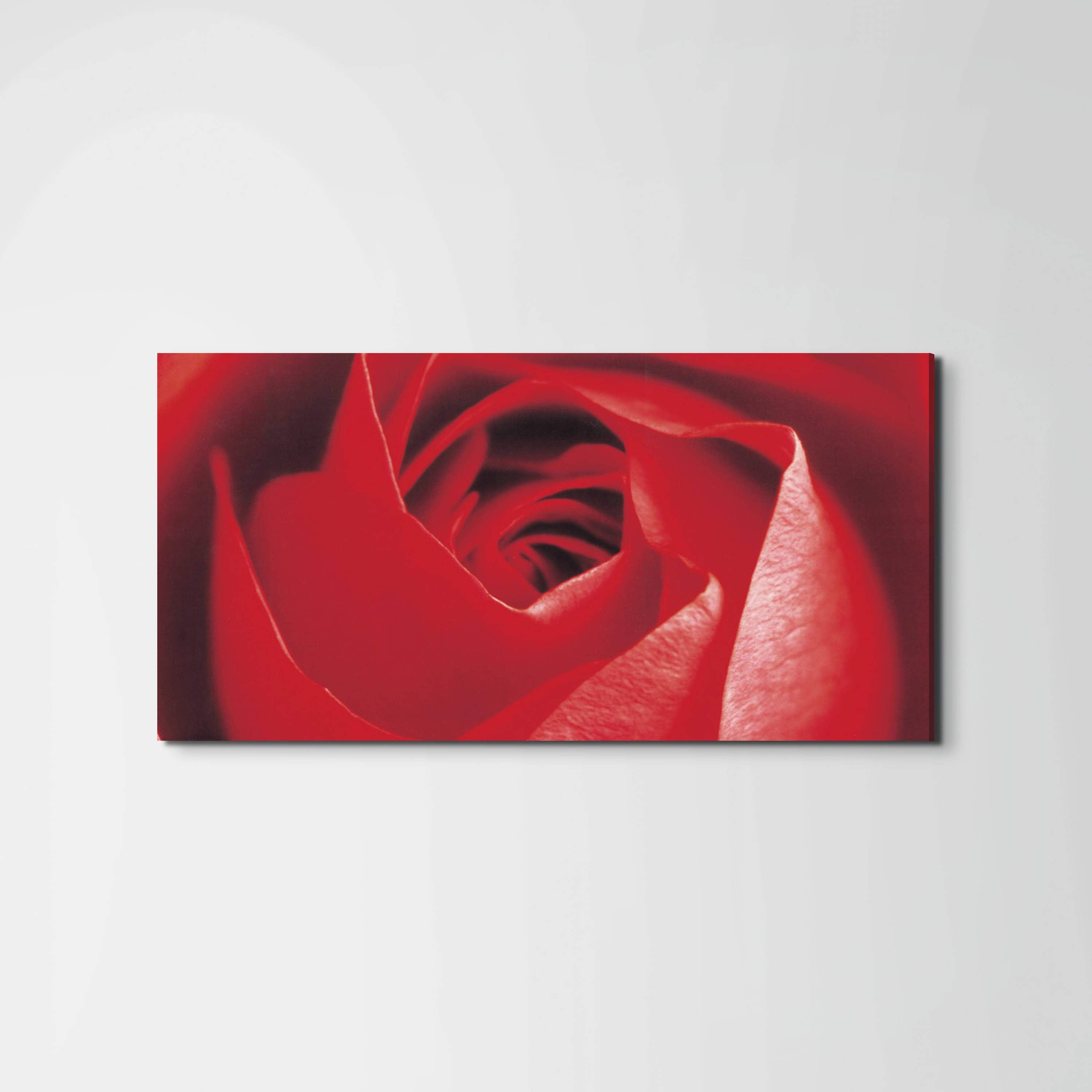 red-roseec22100-#materiale_EarthArt/dimensioni_100x50