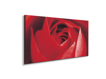 red-roseec22100-