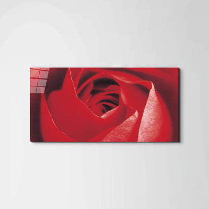 red-roseec22100-