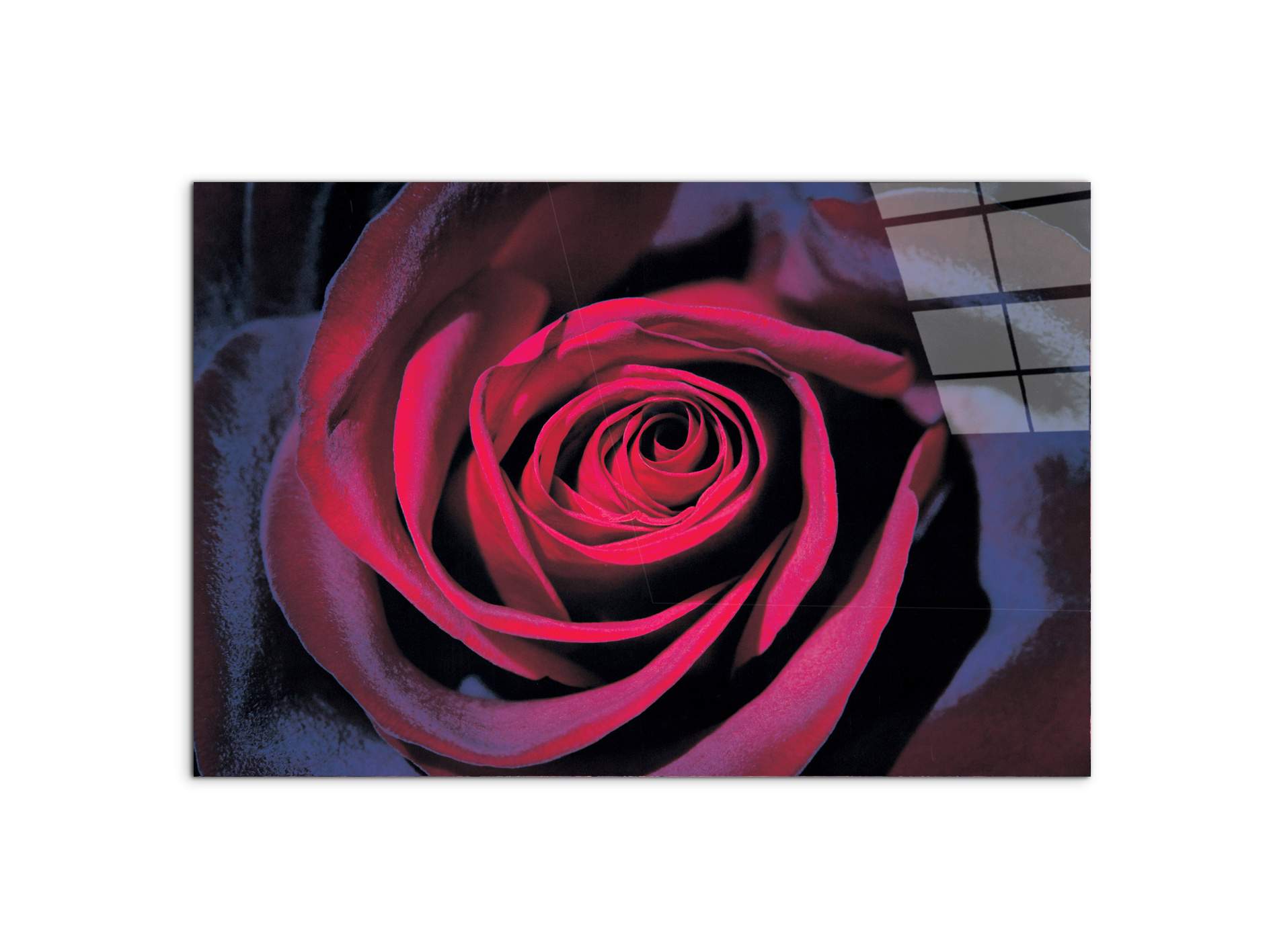 purple-roseec22106-#materiale_CrystalArt/dimensioni_79,5x53