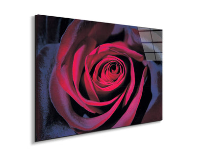 purple-roseec22106-#materiale_EarthArt Total Gloss/dimensioni_79,5x53