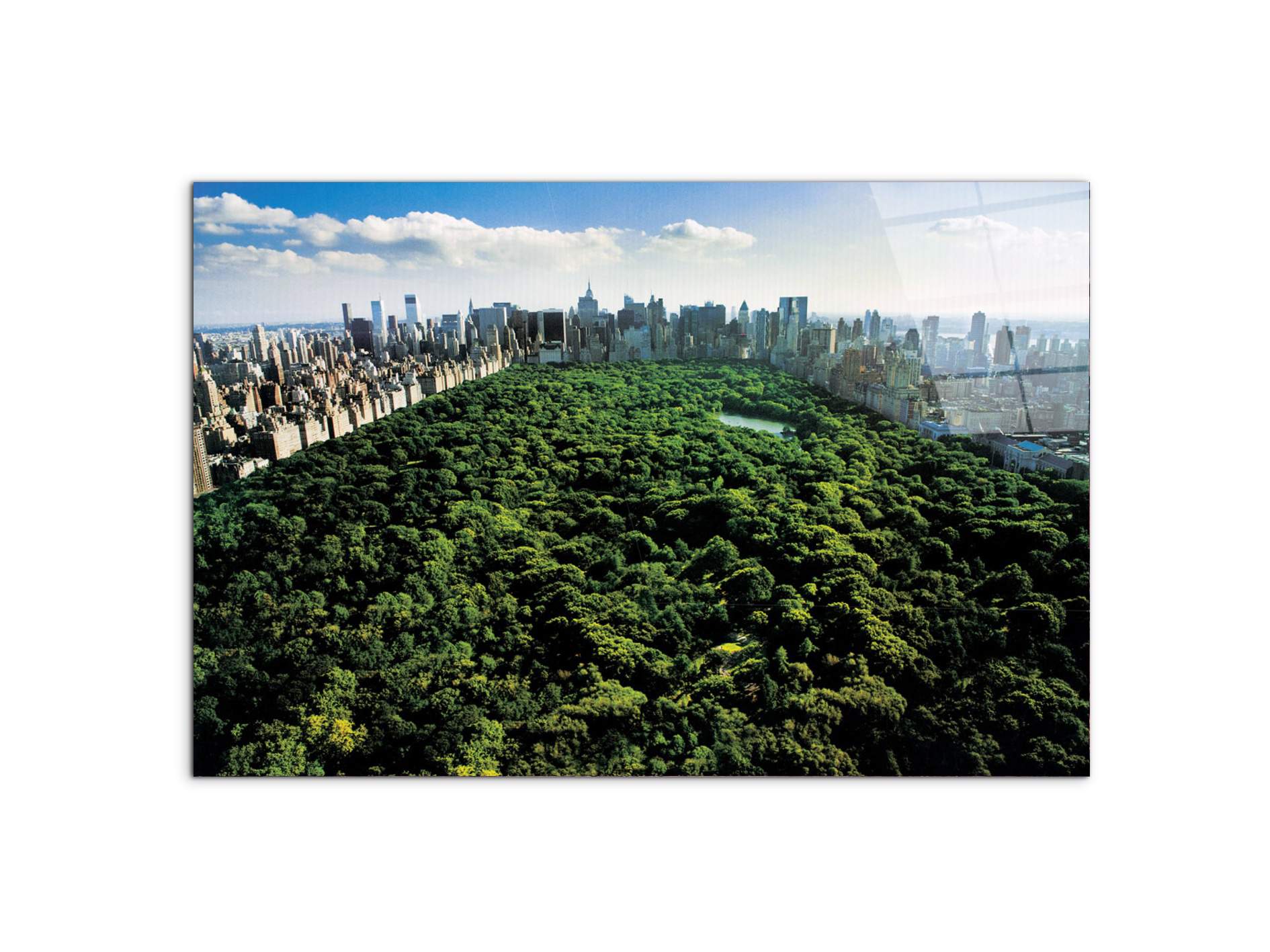 new-york-central-parkec22167-#materiale_CrystalArt/dimensioni_79,5x53