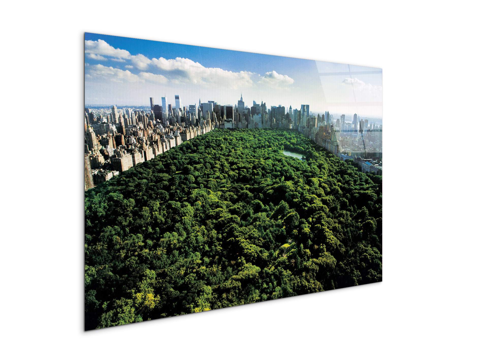 new-york-central-parkec22167-#materiale_CrystalArt/dimensioni_79,5x53