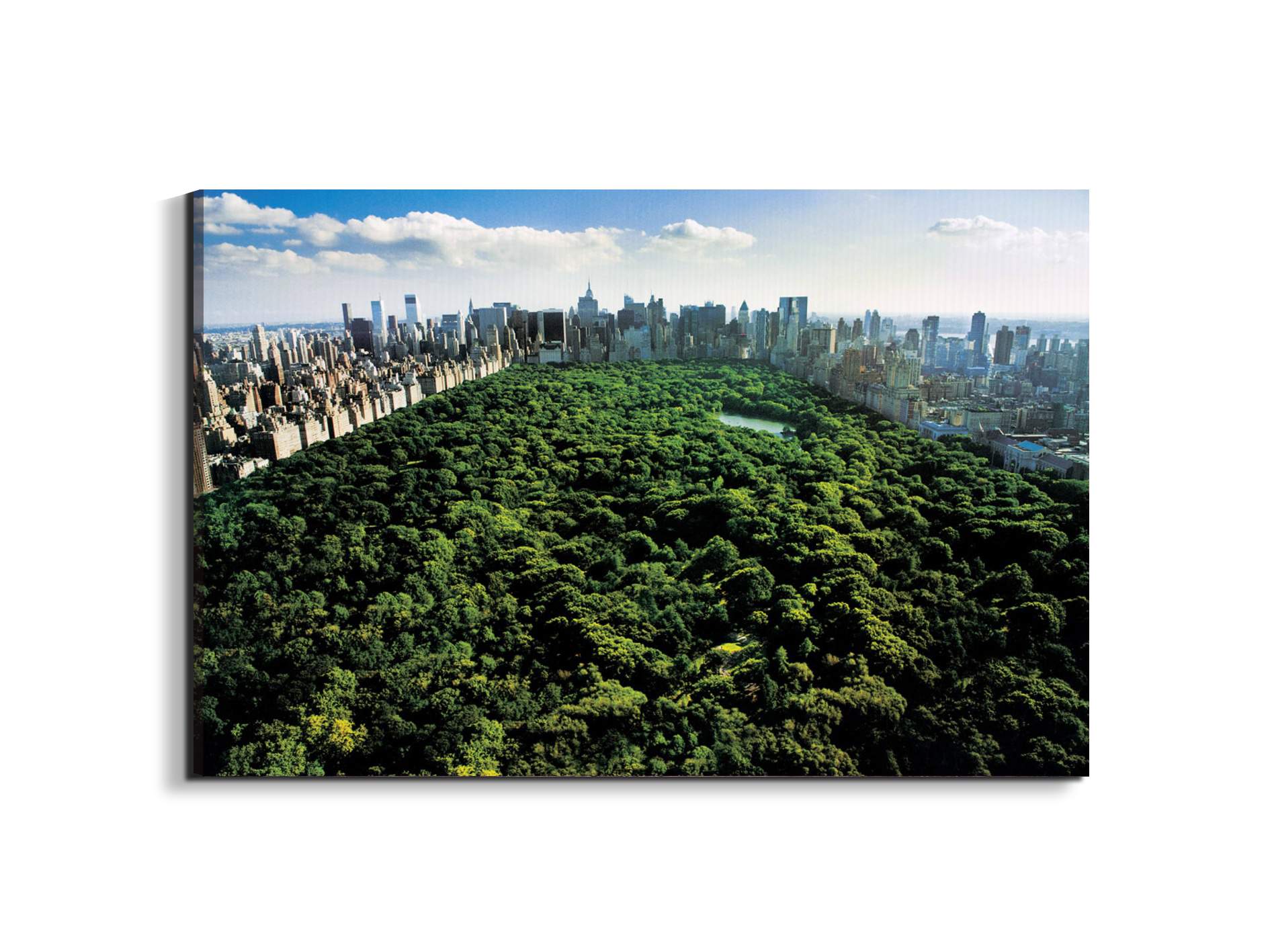 new-york-central-parkec22167-#materiale_EarthArt/dimensioni_79,5x53